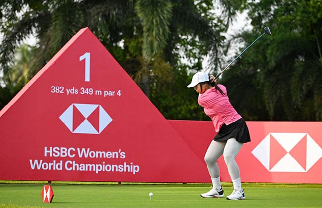 A woman in a pink shirt is swinging a golf club at a golf ball on a green course. AI generated content